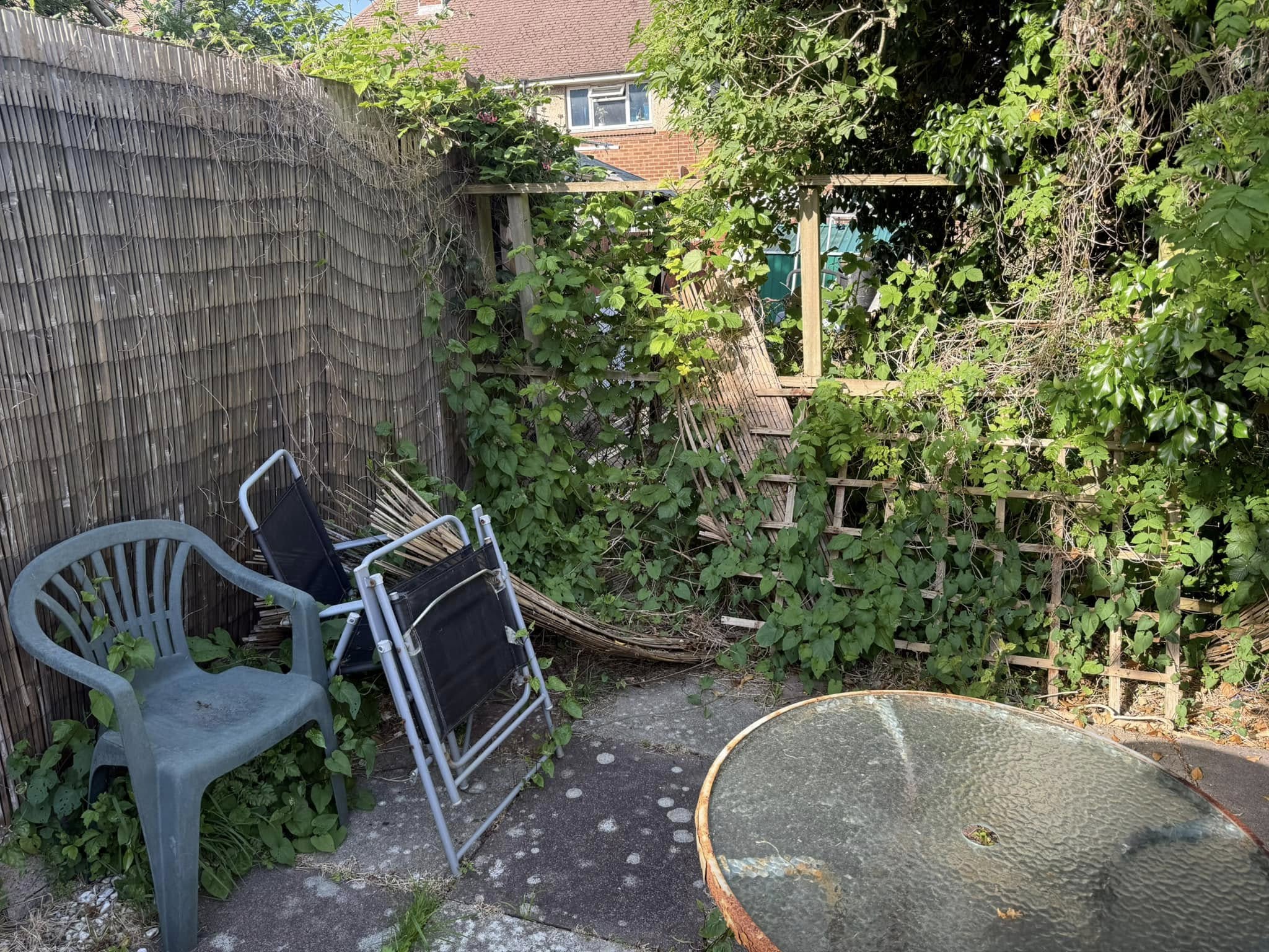Before — Garden clearance in Hove
